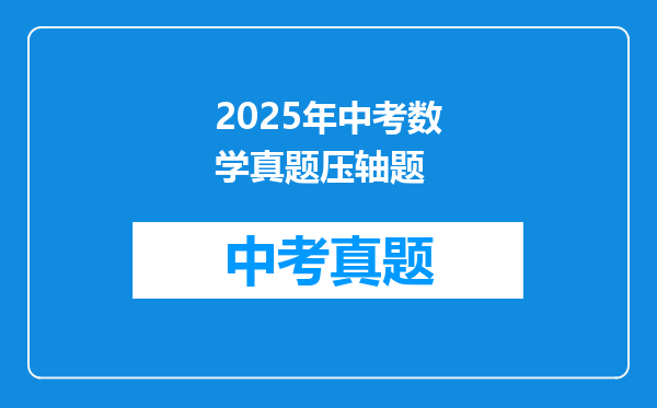 2025年中考数学真题压轴题