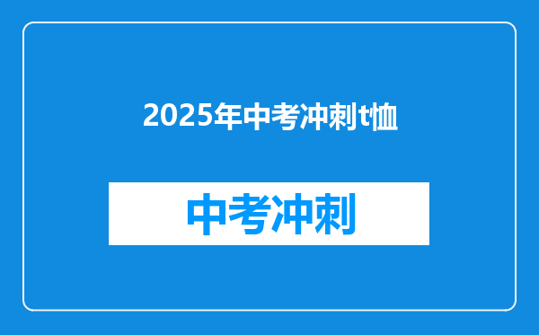 2025年中考冲刺t恤