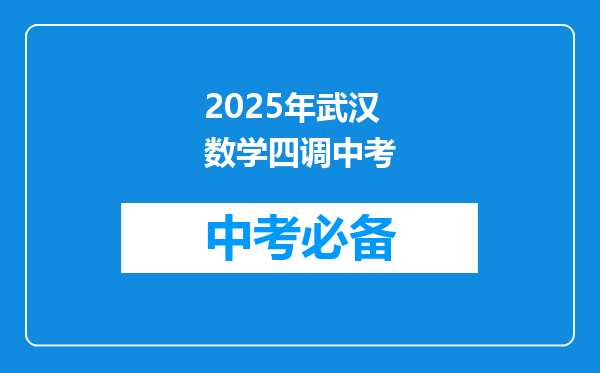 2025年武汉数学四调中考