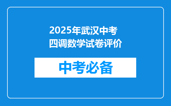 2025年武汉中考四调数学试卷评价