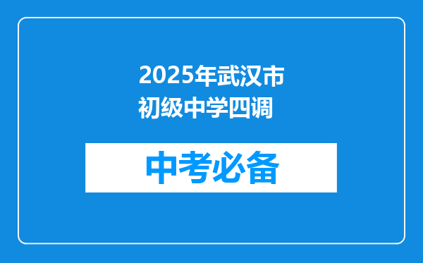 2025年武汉市初级中学四调