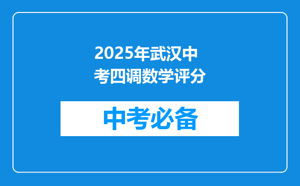 2025年武汉中考四调数学评分