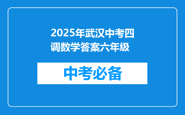 2025年武汉中考四调数学答案六年级