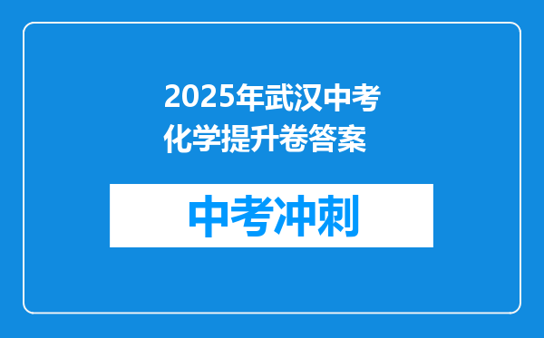 2025年武汉中考化学提升卷答案