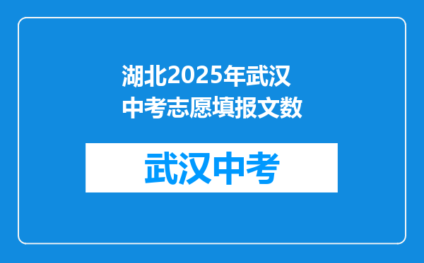 湖北2025年武汉中考志愿填报文数