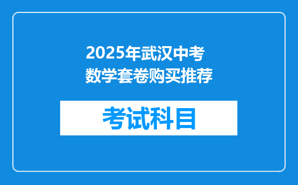 2025年武汉中考数学套卷购买推荐