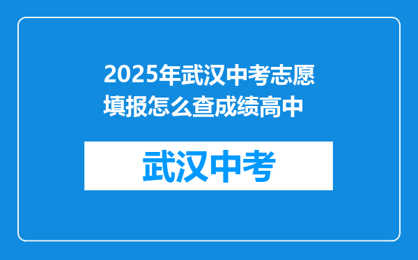 2025年武汉中考志愿填报怎么查成绩高中