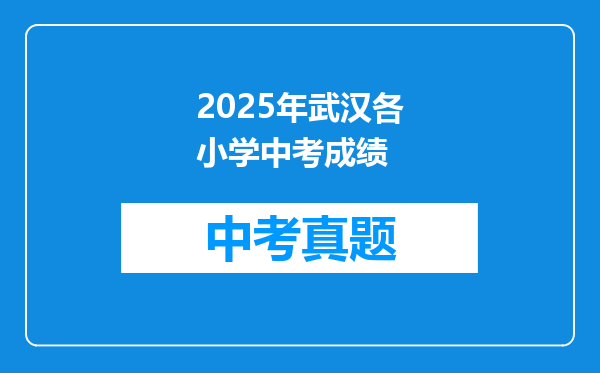 2025年武汉各小学中考成绩
