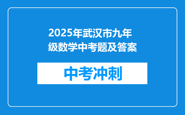 2025年武汉市九年级数学中考题及答案