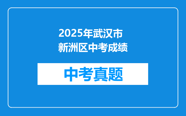 2025年武汉市新洲区中考成绩