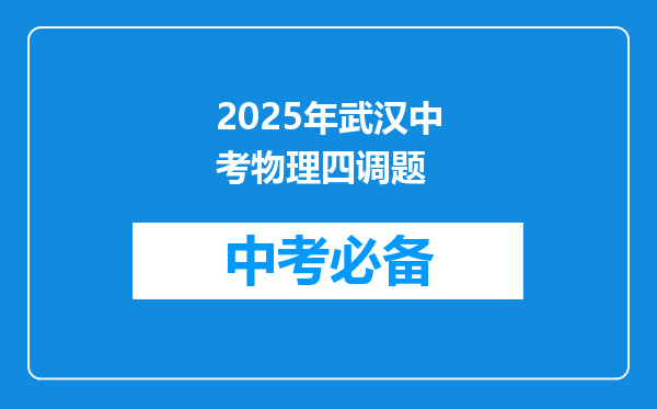 2025年武汉中考物理四调题