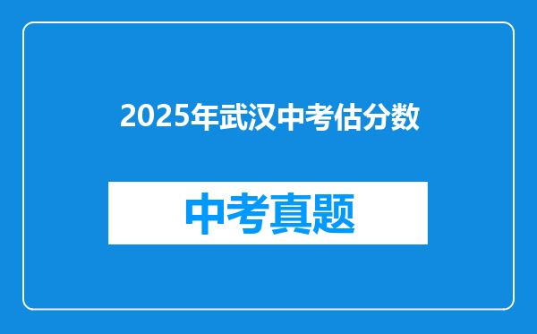 2025年武汉中考估分数