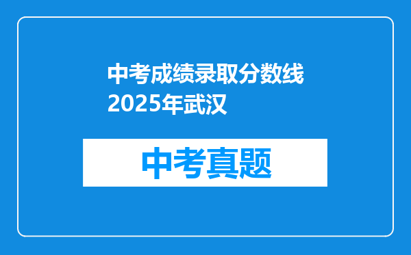 中考成绩录取分数线2025年武汉