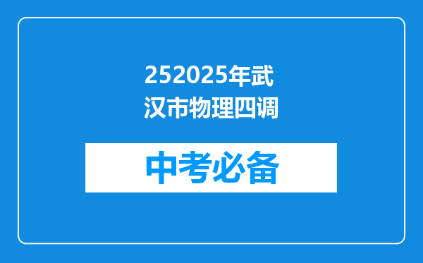 252025年武汉市物理四调