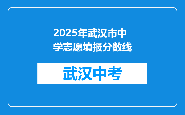 2025年武汉市中学志愿填报分数线