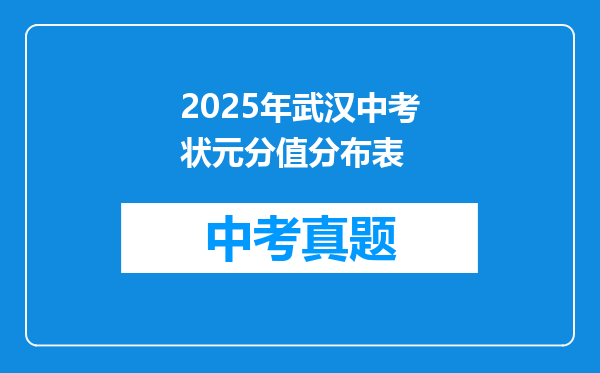 2025年武汉中考状元分值分布表