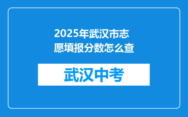 2025年武汉市志愿填报分数怎么查