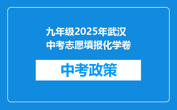 九年级2025年武汉中考志愿填报化学卷