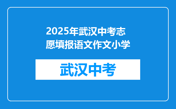 2025年武汉中考志愿填报语文作文小学