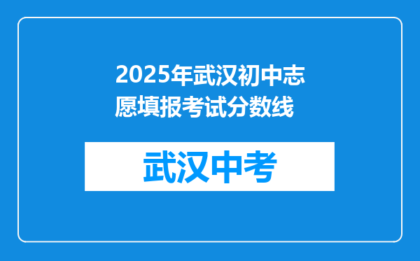 2025年武汉初中志愿填报考试分数线