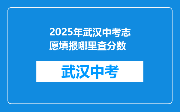 2025年武汉中考志愿填报哪里查分数