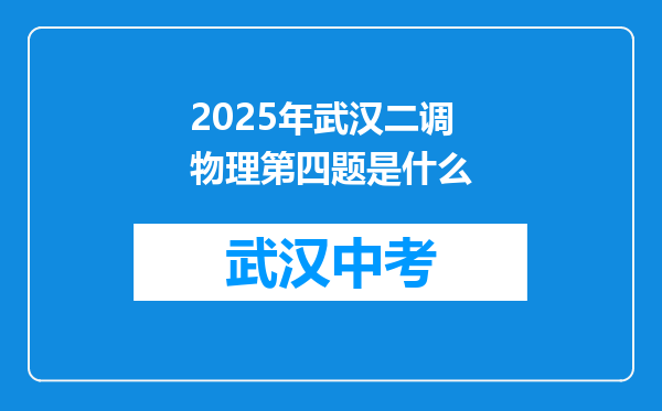 2025年武汉二调物理第四题是什么