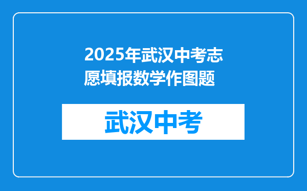 2025年武汉中考志愿填报数学作图题