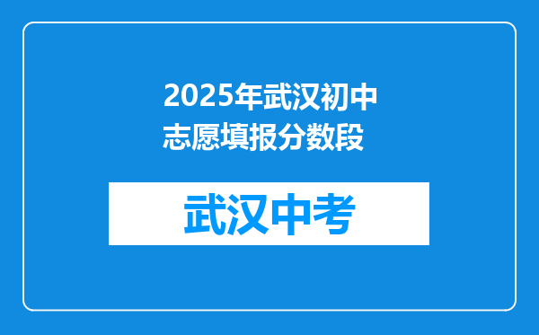 2025年武汉初中志愿填报分数段