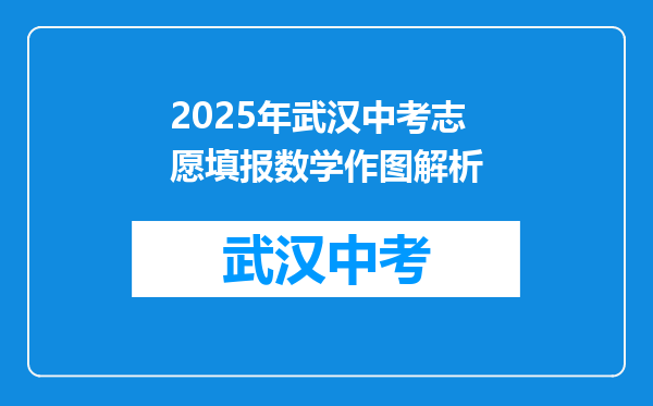 2025年武汉中考志愿填报数学作图解析