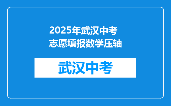 2025年武汉中考志愿填报数学压轴