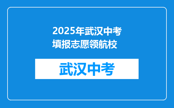 2025年武汉中考填报志愿领航校
