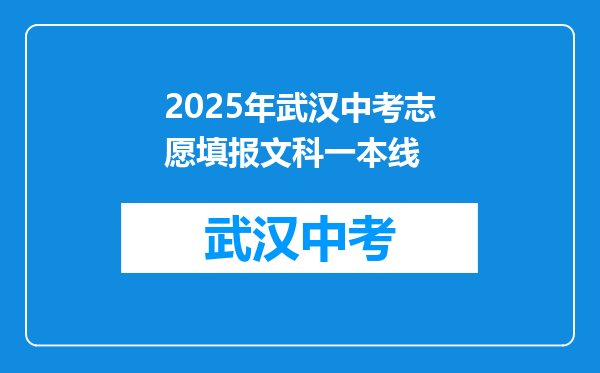 2025年武汉中考志愿填报文科一本线