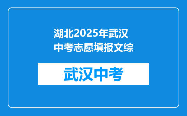 湖北2025年武汉中考志愿填报文综