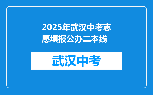 2025年武汉中考志愿填报公办二本线