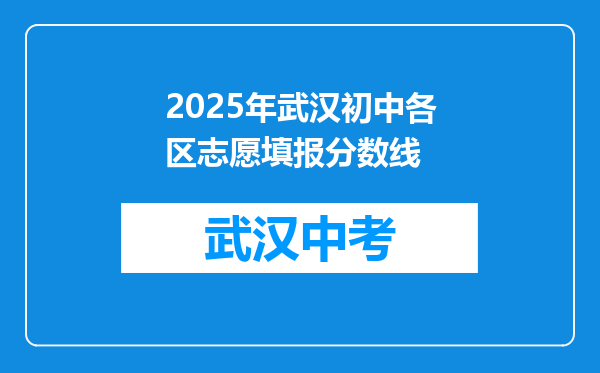 2025年武汉初中各区志愿填报分数线
