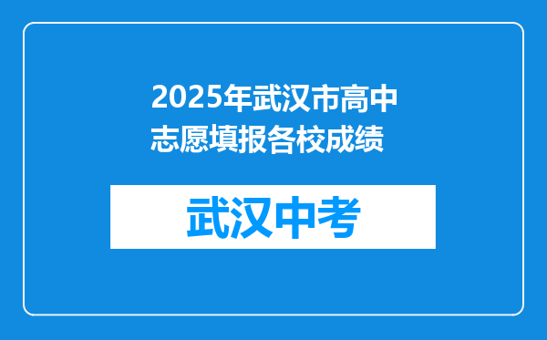 2025年武汉市高中志愿填报各校成绩