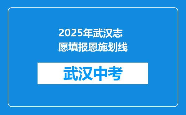 2025年武汉志愿填报恩施划线