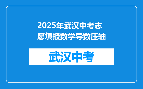 2025年武汉中考志愿填报数学导数压轴