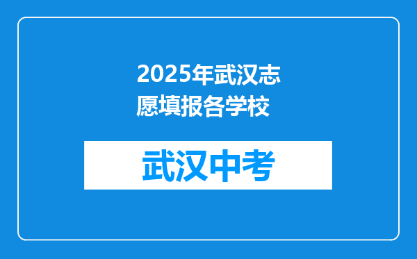 2025年武汉志愿填报各学校