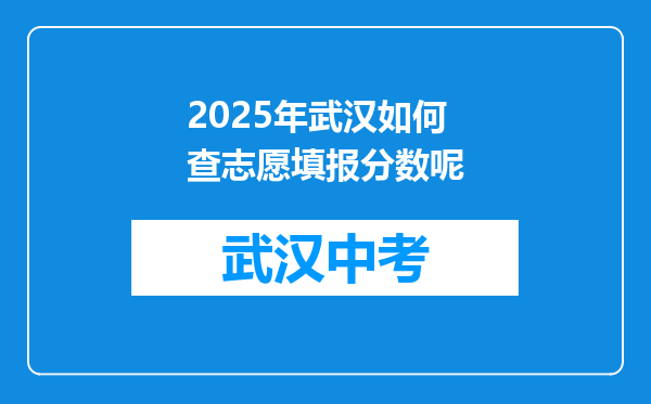 2025年武汉如何查志愿填报分数呢