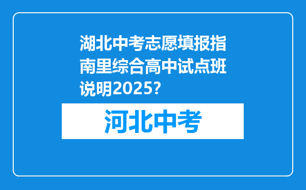 湖北中考志愿填报指南里综合高中试点班说明2025？