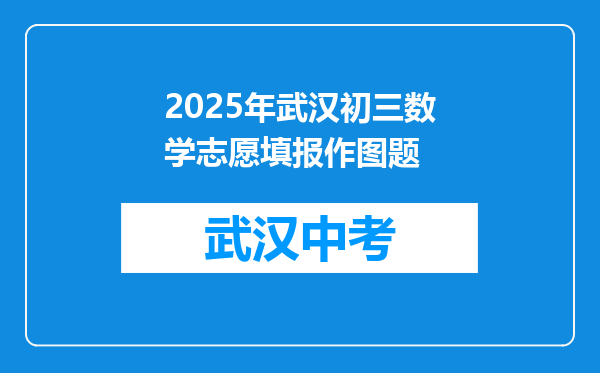 2025年武汉初三数学志愿填报作图题