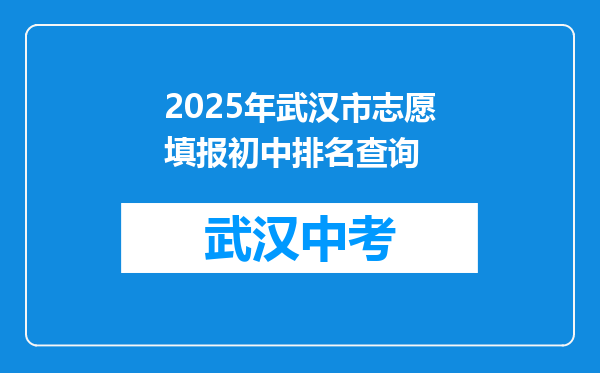 2025年武汉市志愿填报初中排名查询