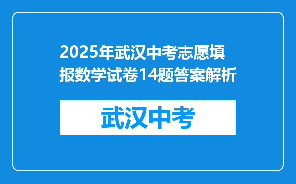 2025年武汉中考志愿填报数学试卷14题答案解析