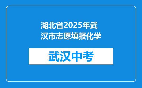 湖北省2025年武汉市志愿填报化学