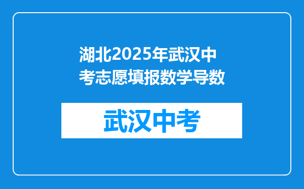 湖北2025年武汉中考志愿填报数学导数