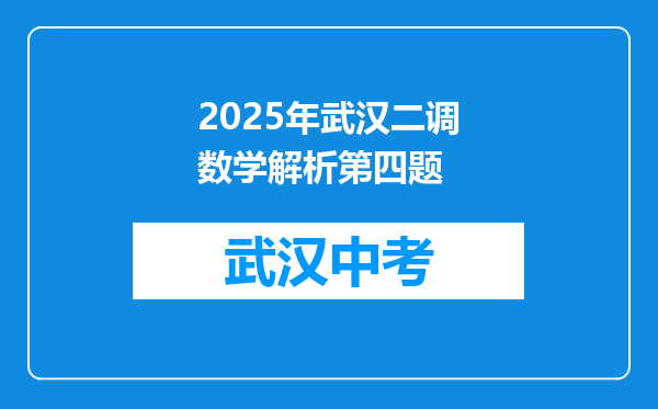 2025年武汉二调数学解析第四题