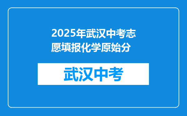 2025年武汉中考志愿填报化学原始分