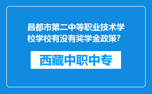 昌都市第二中等职业技术学校学校有没有奖学金政策？