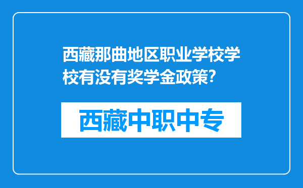 西藏那曲地区职业学校学校有没有奖学金政策？